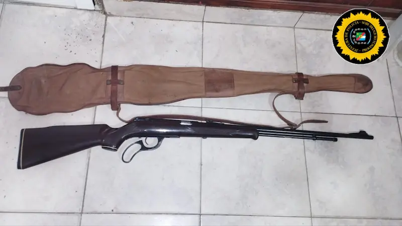 articulo-5