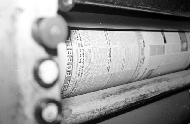 articulo-8