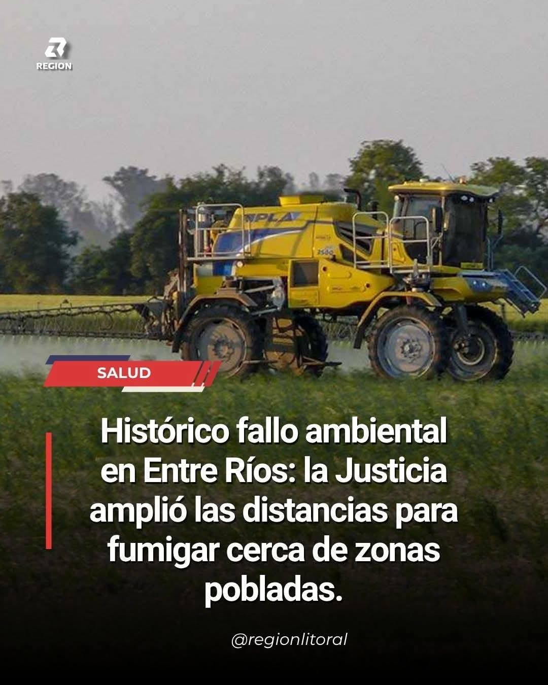 articulo-7