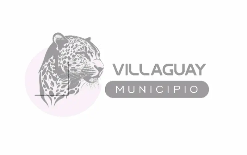 articulo-6
