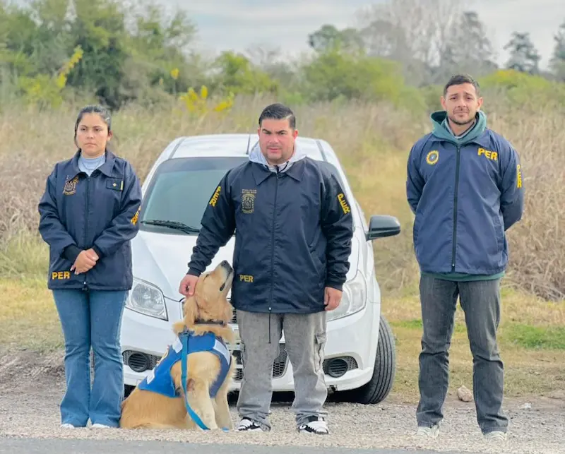 articulo-8