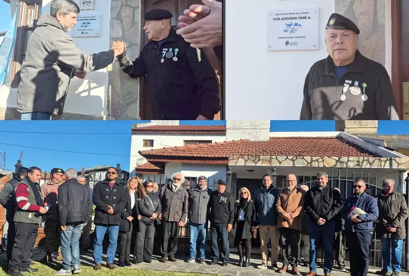 articulo-6