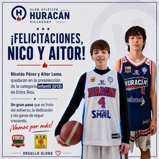 articulo-6