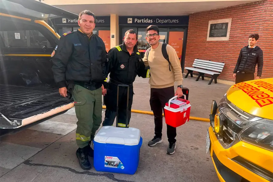 articulo-7