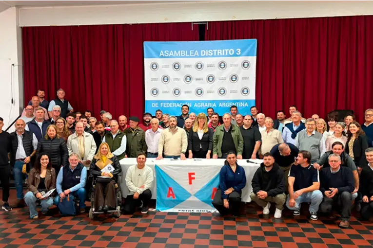 articulo-6