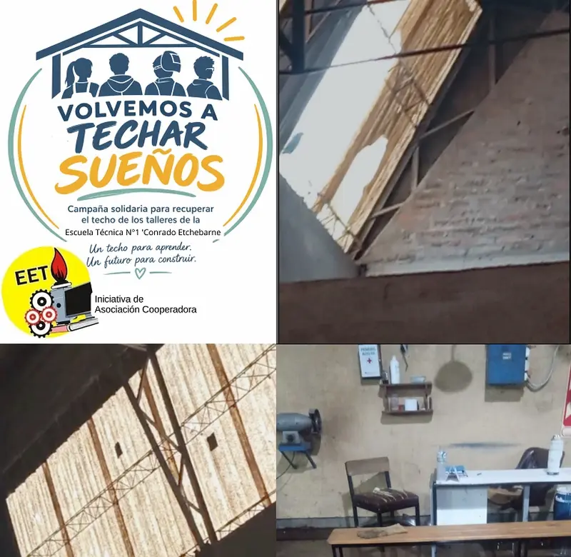 articulo-3
