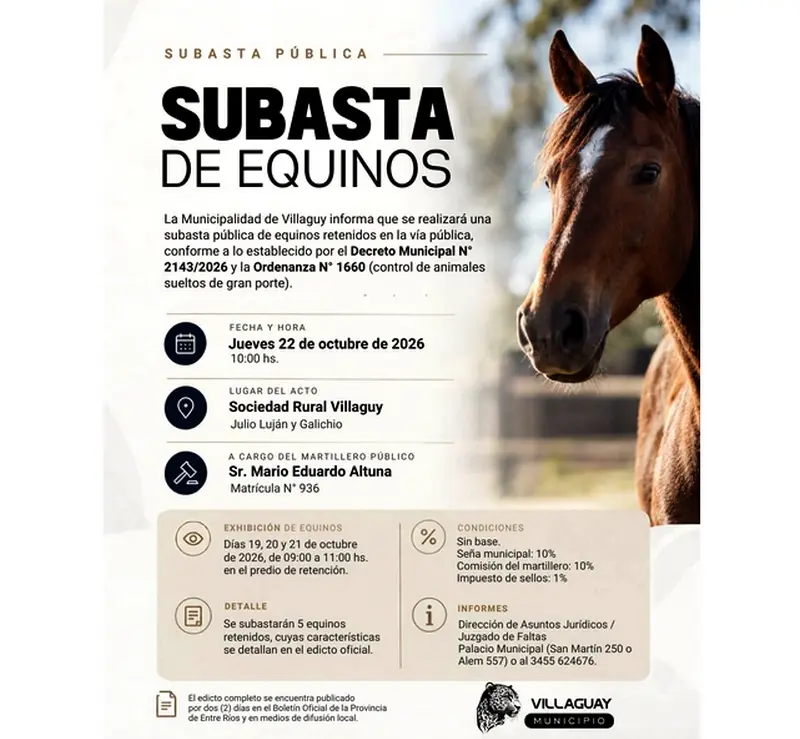 articulo-1